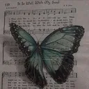 @just.c3cilia