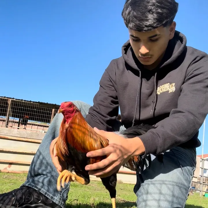 rancho_ramirez209