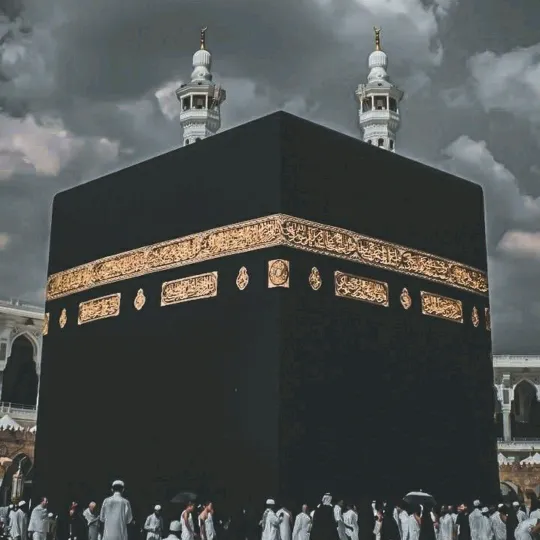 @zamzammedia786