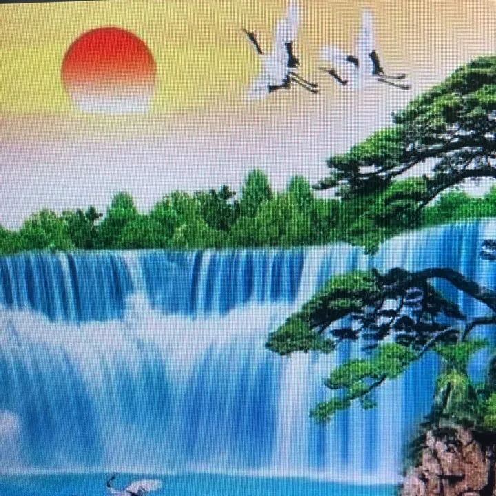 user74981200701958