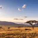 @wildlife2027
