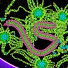 cell_lab_university