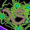 @cell_lab_university
