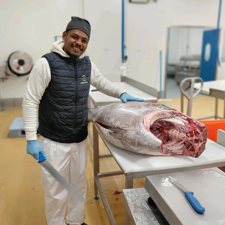 lapprenti.poisson