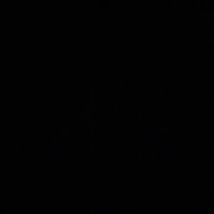 @lucas.maxing