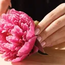 @bouquet.asmr