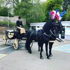 sonnyhillierhorsedrawn