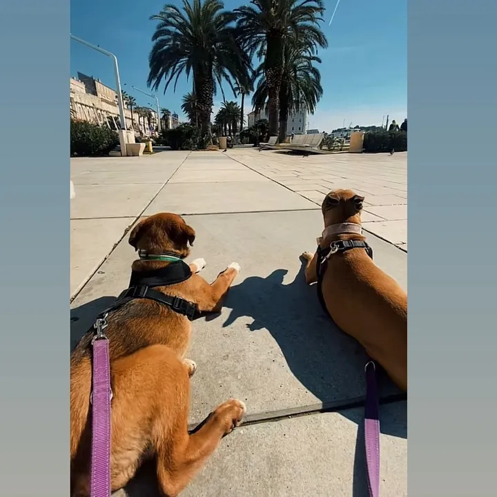 _remmyandkala