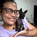 @rozi_pinscher_micros_of