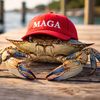 chesapeakepatriot