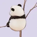 @shangwahdzu