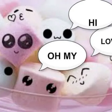 @chomkyseal