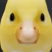 bexodespezo_