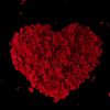 love.story8834