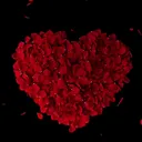@love.story8834