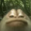 @theonlydooz