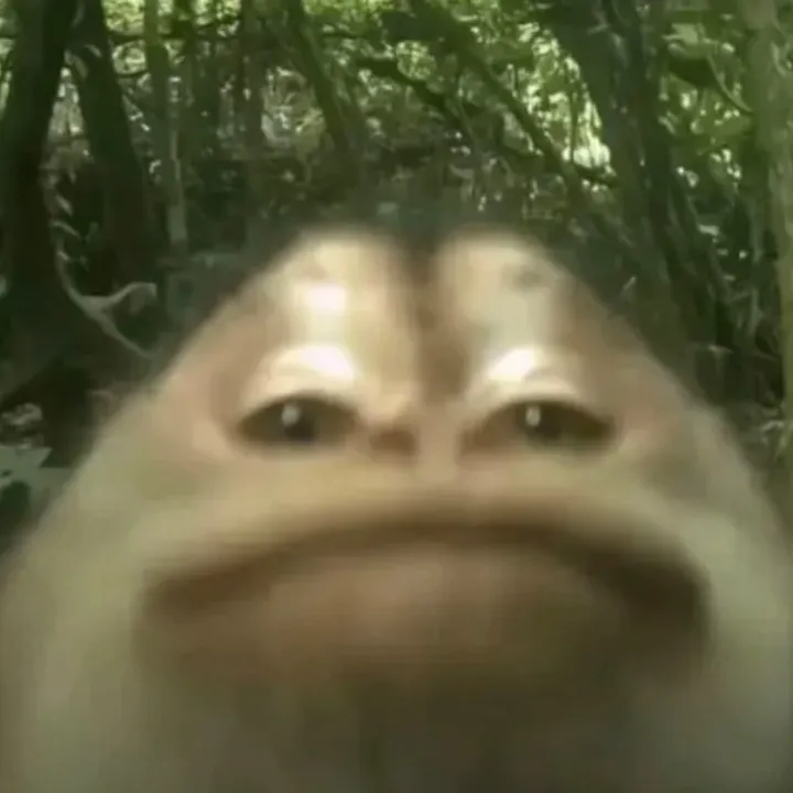 @theonlydooz