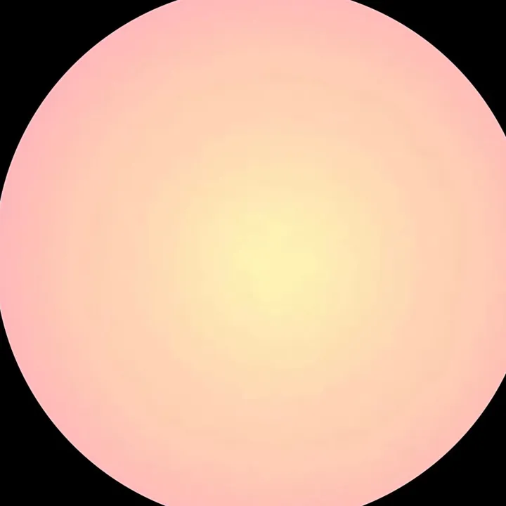 shuffles_1243