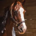 @therealchunkypony