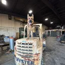 @ab_trades0