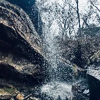 @alphawolff69