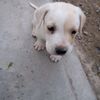 joaoalexander51