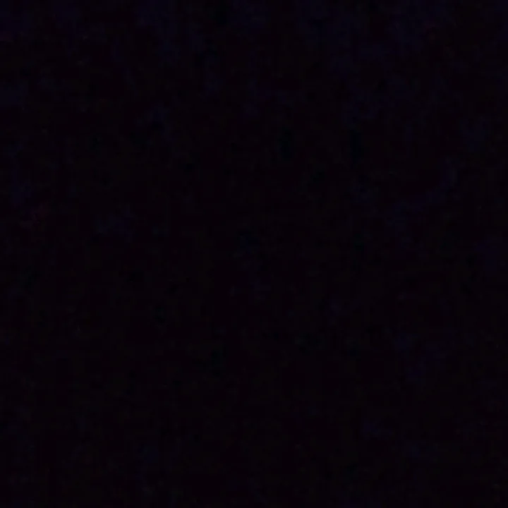 @team.negro_317