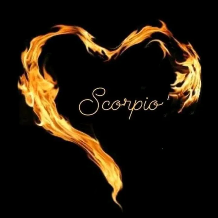 yscorpion7