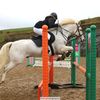 amelia_showjumping2