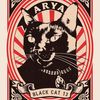 aryablackcat13