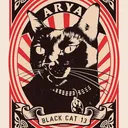 @aryablackcat13