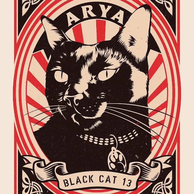 @aryablackcat13
