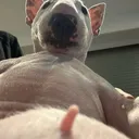@klqpzfn
