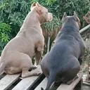 @mia_bulls16