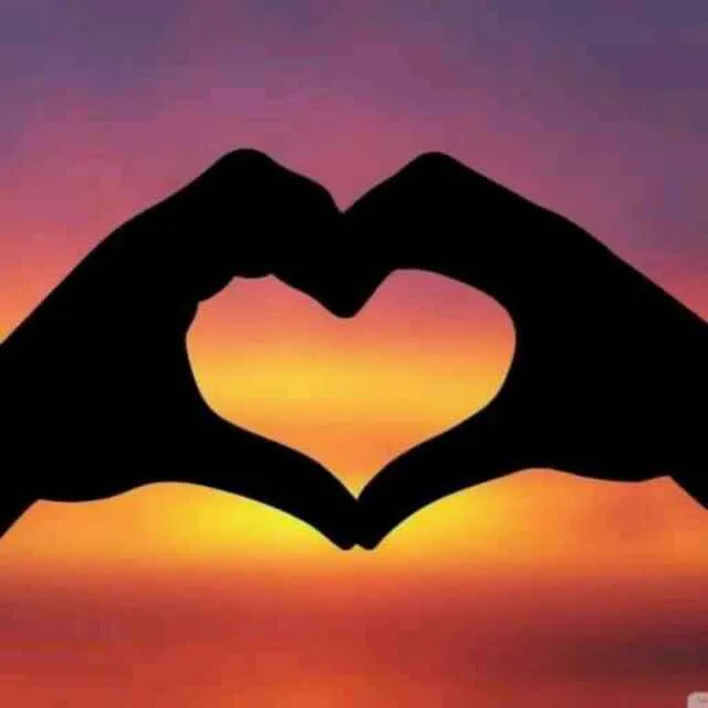 sdiwen1104gmail