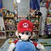 peluchemario62