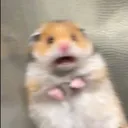 @donotperceiveme1