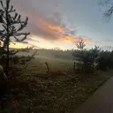 @noiseil