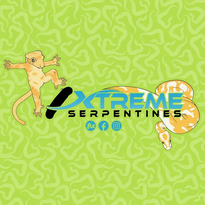 @xtremeserpentines