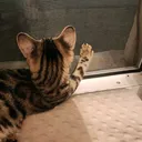 @lifestealer92