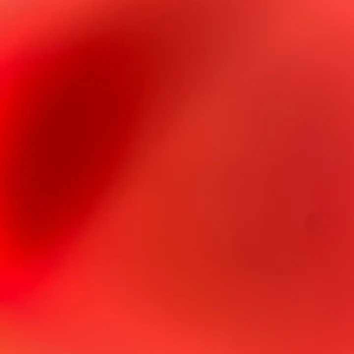 _lehani_ff