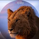 @africalions