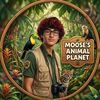 moosesanimalplanet
