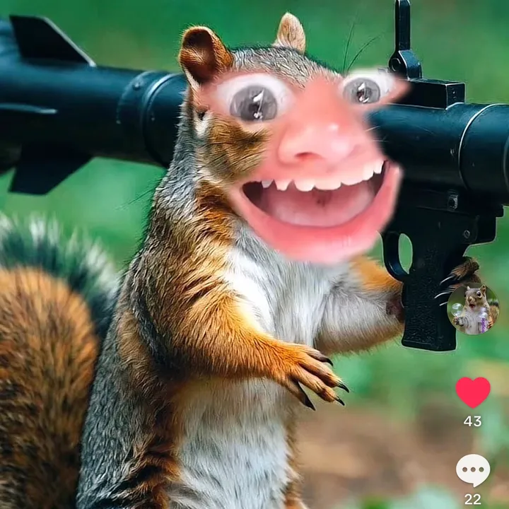 @dontmindthesquirrel007