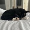 toby_toebeanss