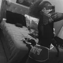 @a5dabarb