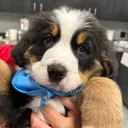 @bill_bob_andbuddies