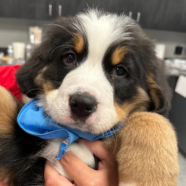 @bill_bob_andbuddies