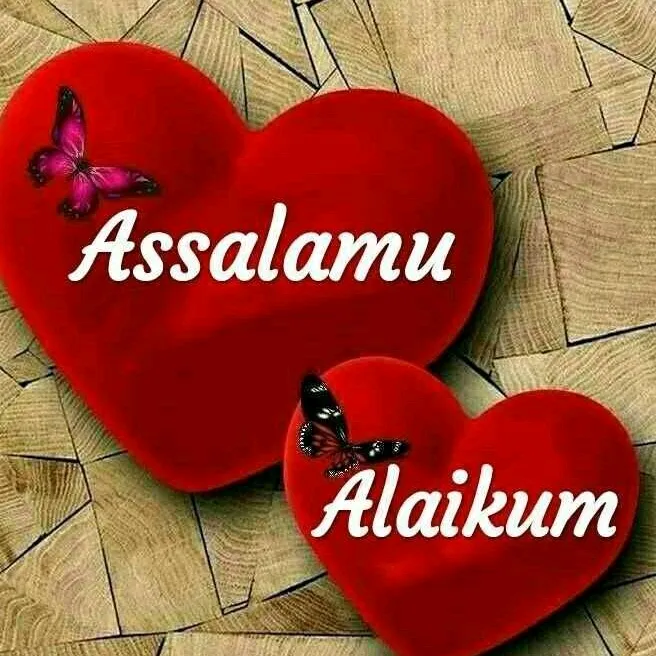 hajjat.m