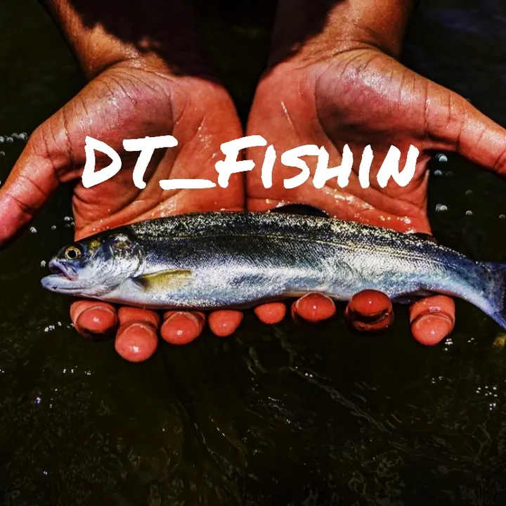 @dt_fishin